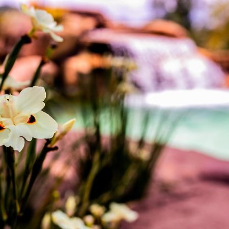 Hotel Fazenda Horizonte Belo Brumadinho Zewnętrze zdjęcie