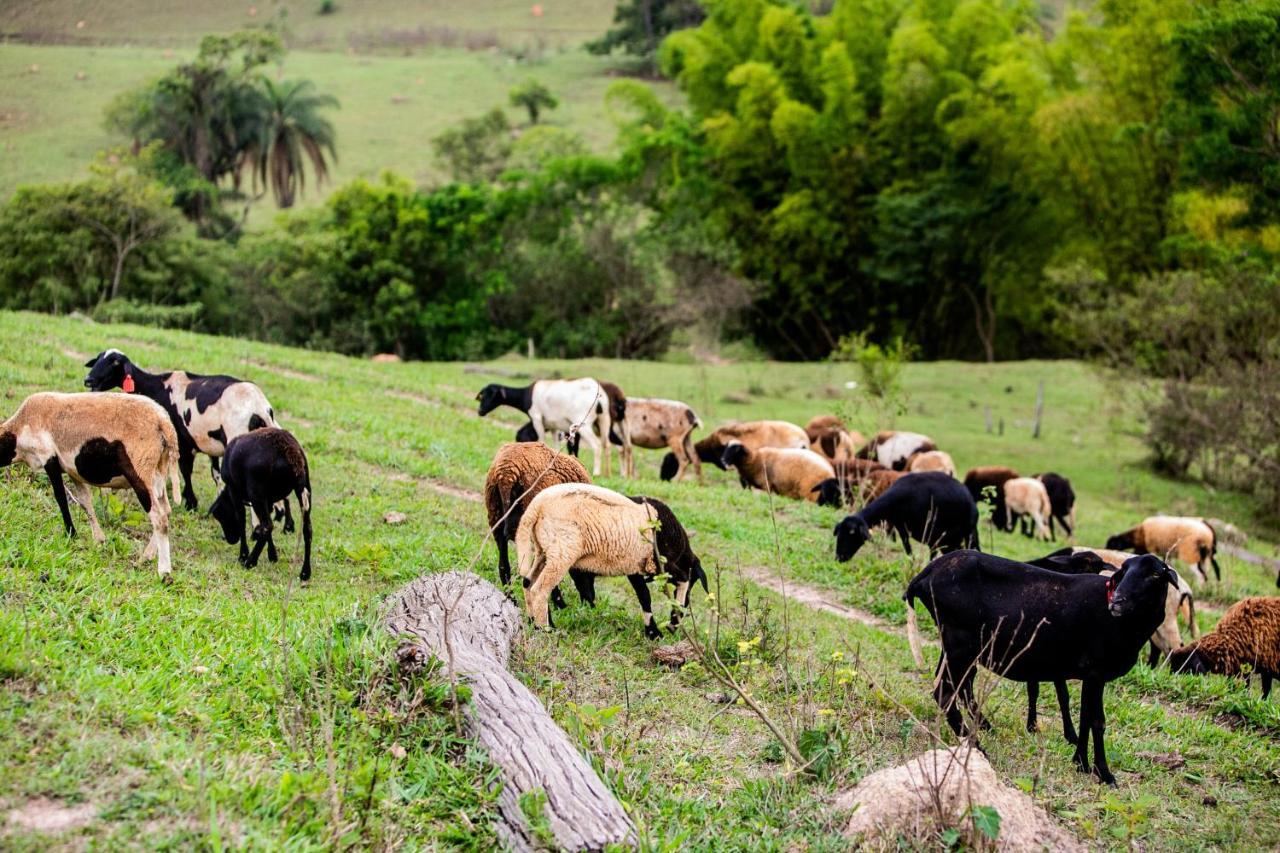 Hotel Fazenda Horizonte Belo Brumadinho Zewnętrze zdjęcie