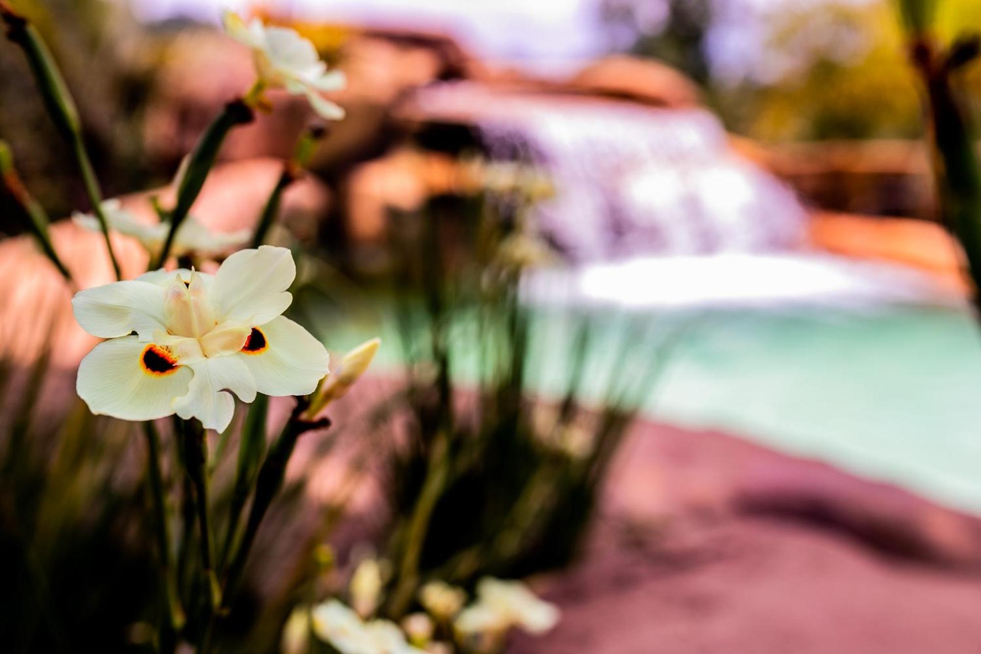 Hotel Fazenda Horizonte Belo Brumadinho Zewnętrze zdjęcie